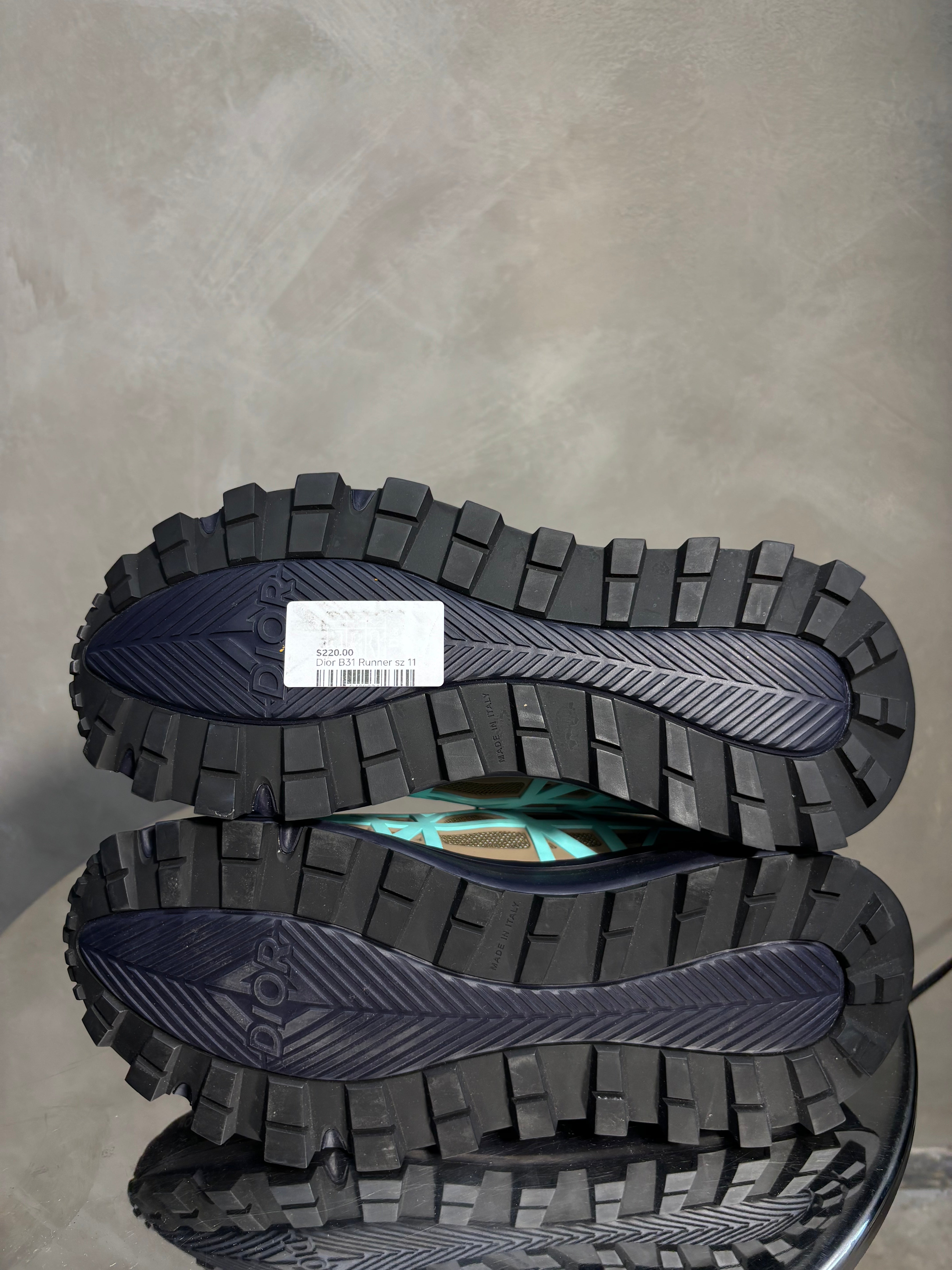 Dior B31 Shoes