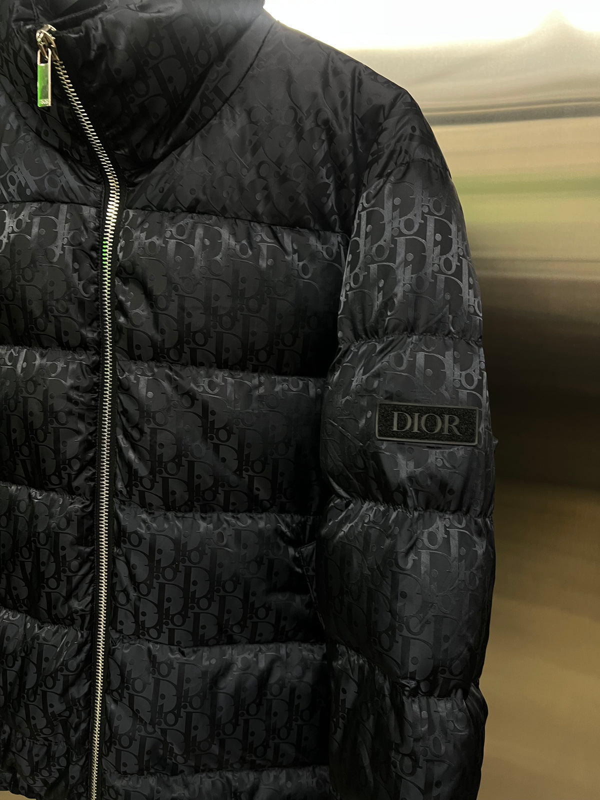 Dior Oblique Down Jacket