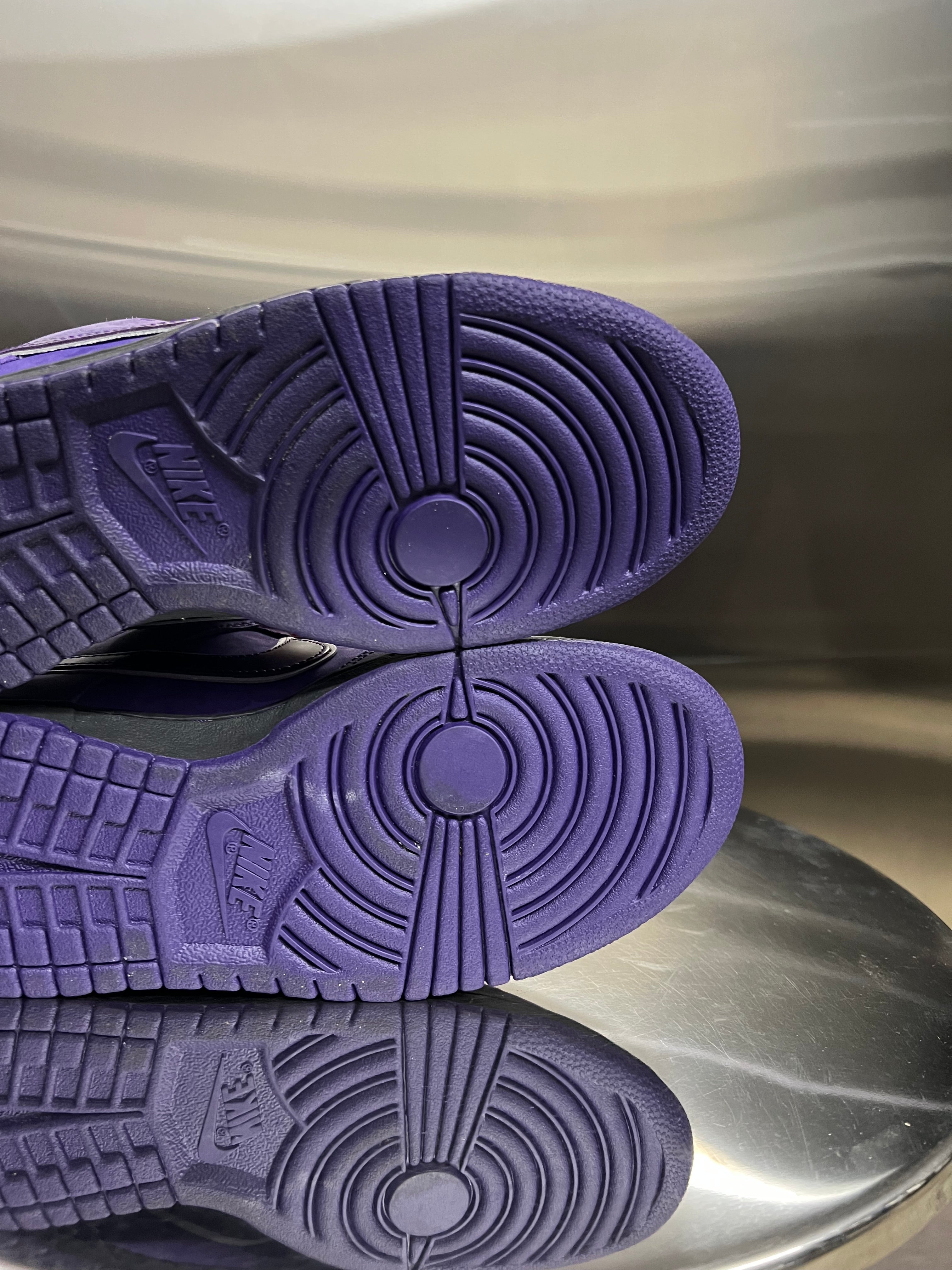 Nike SB Purple Lobster