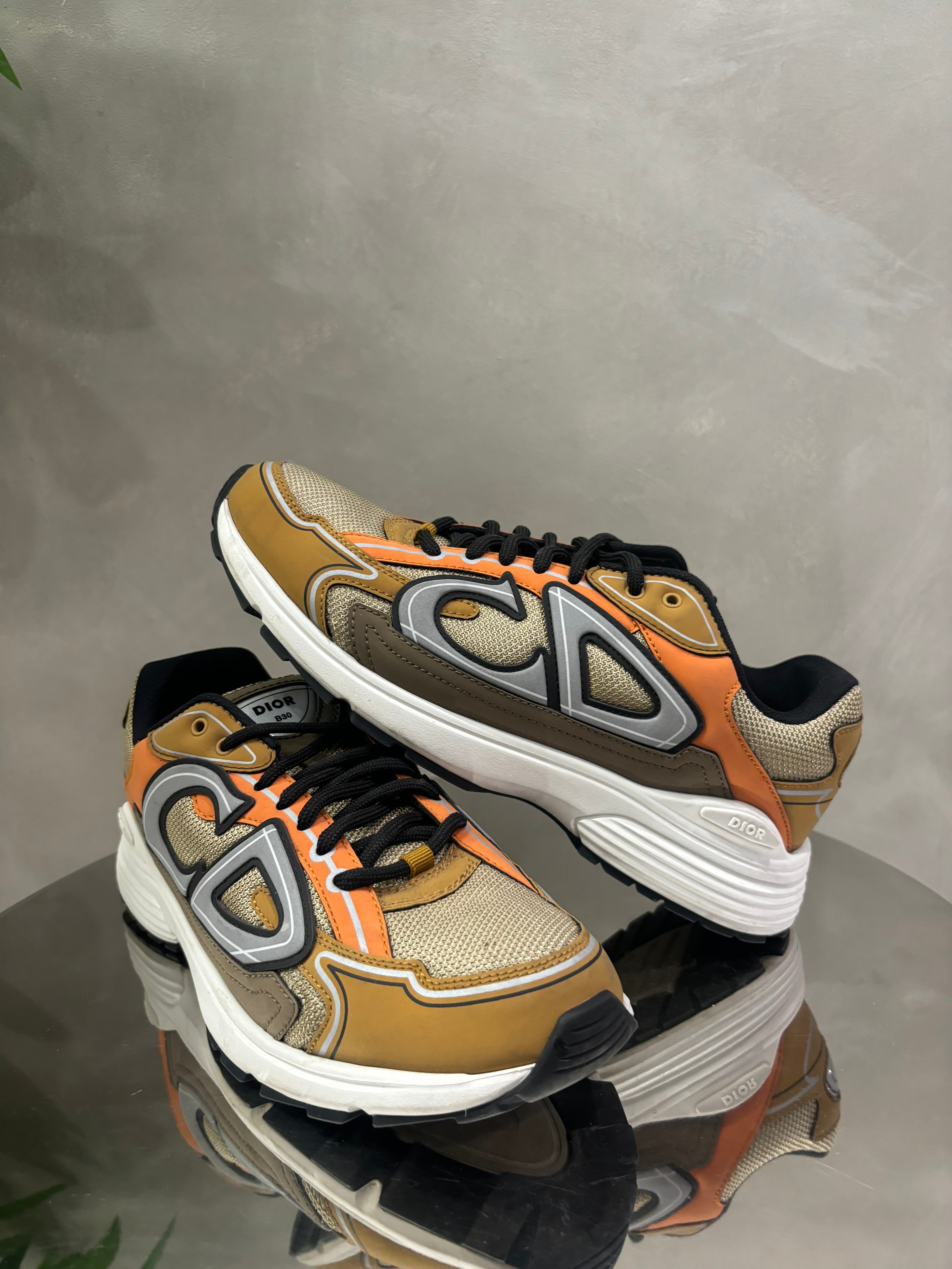 Dior B30 Shoes