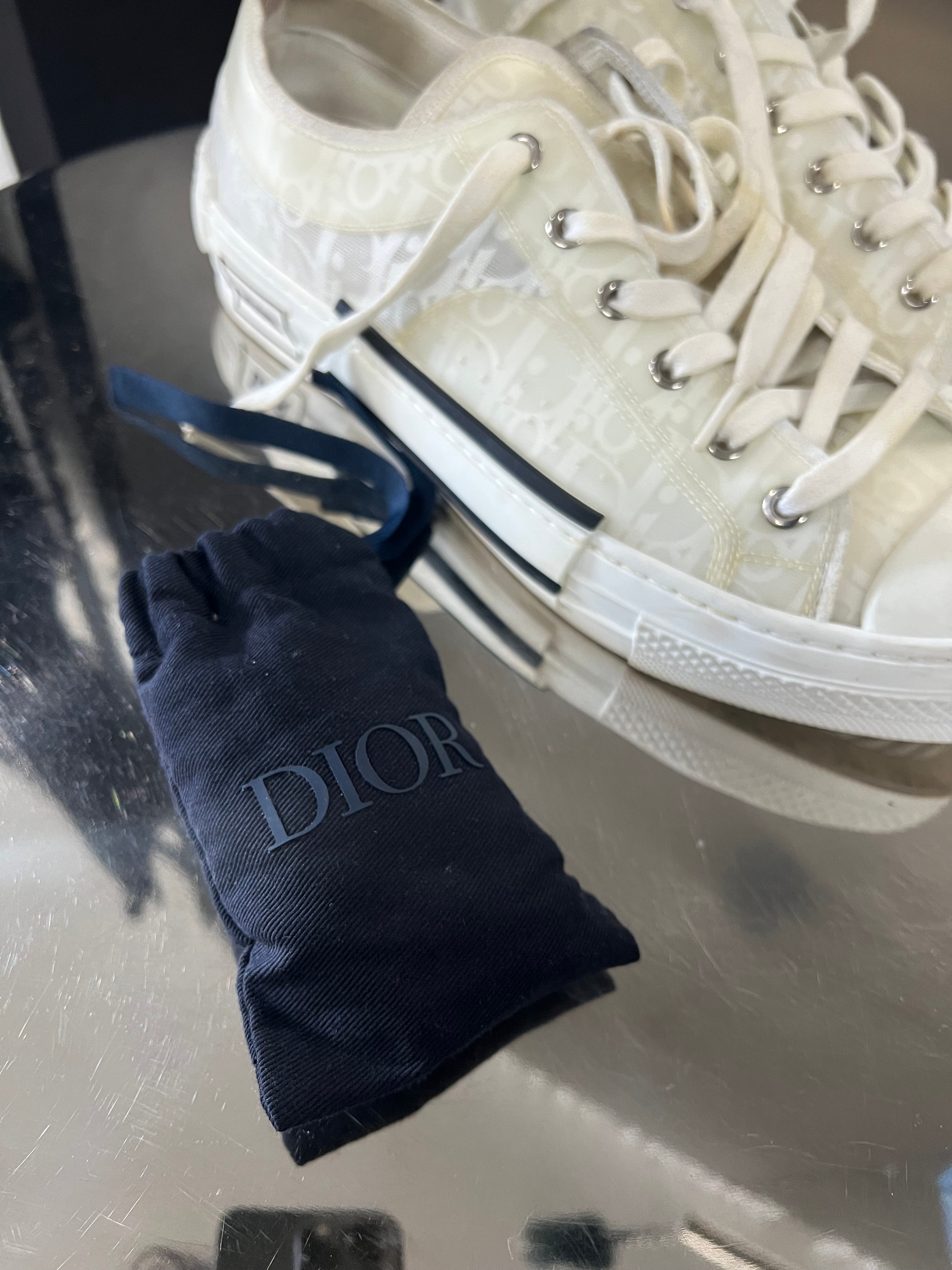 Dior B23 low