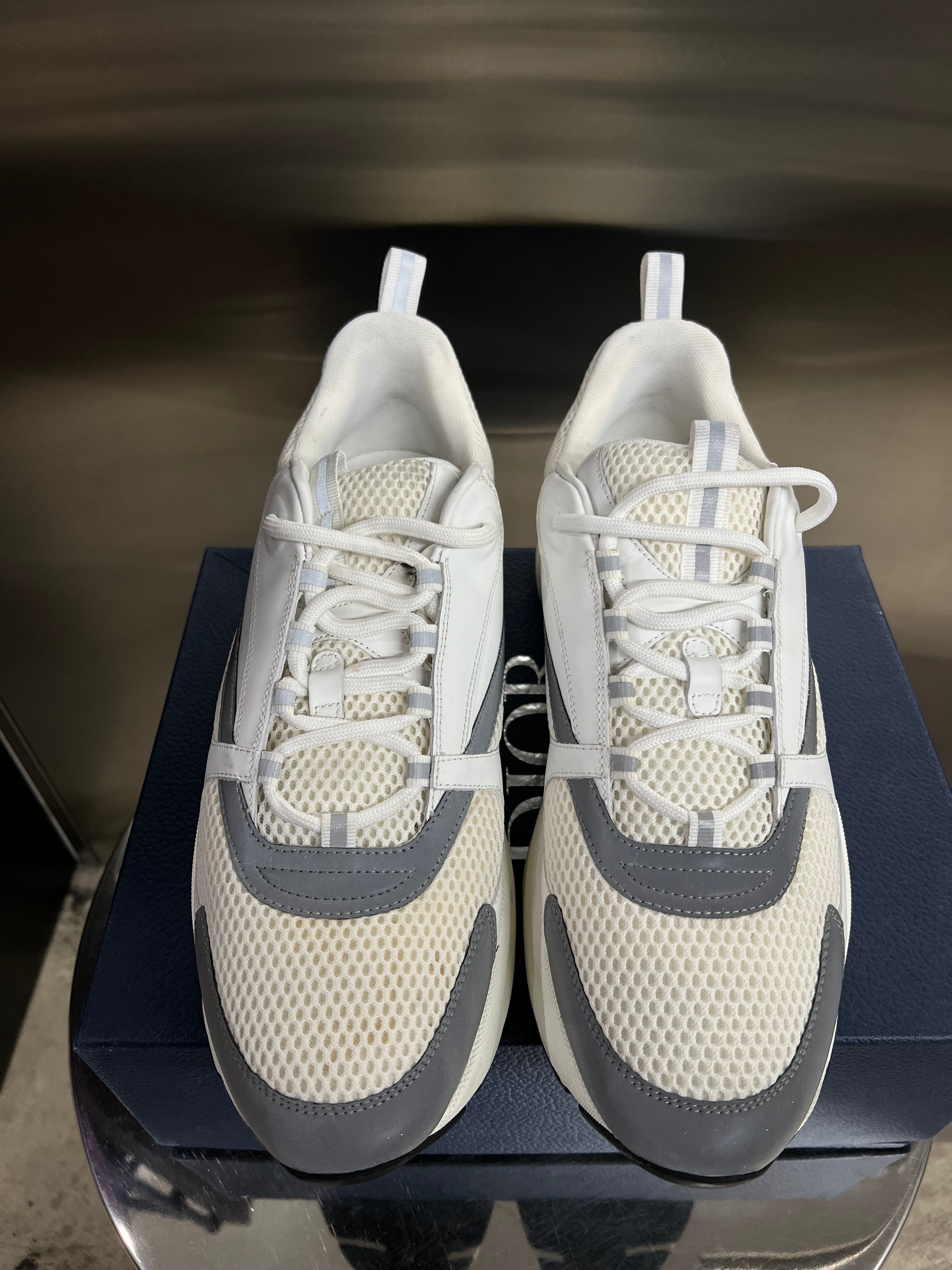 Dior B22 sneaker