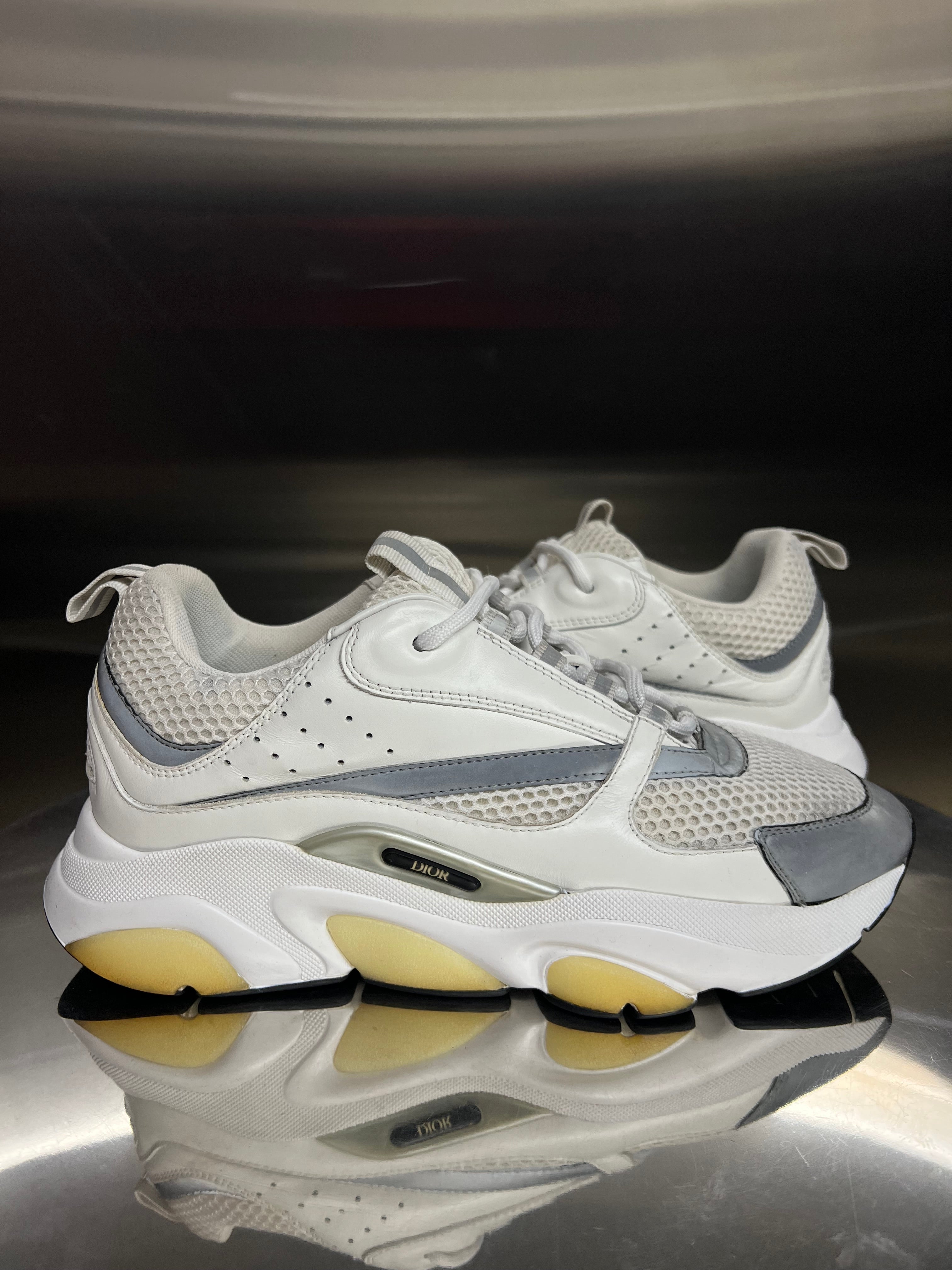 Dior B22 sneaker