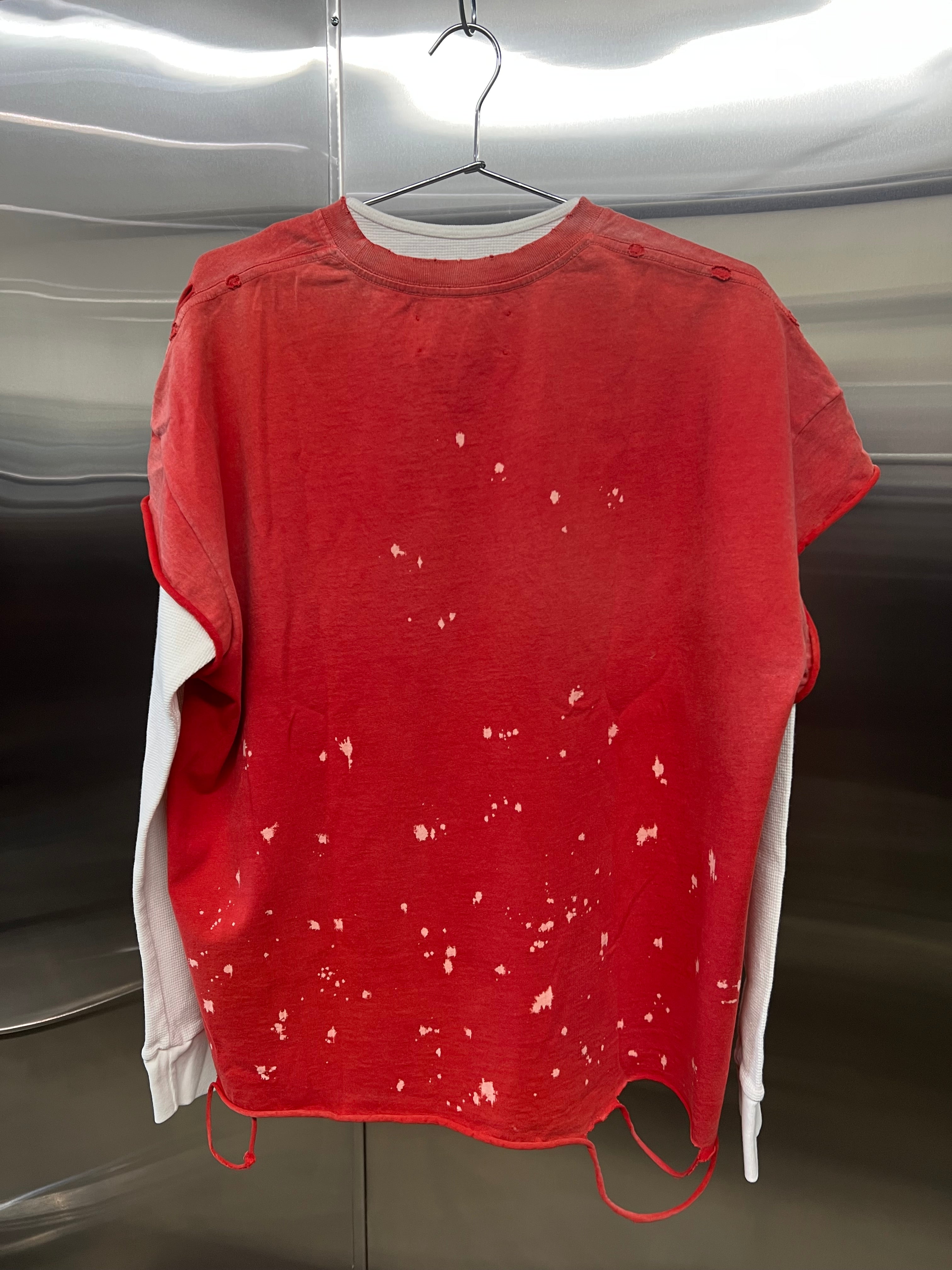 Satoshi Nakamoto Luke thermal