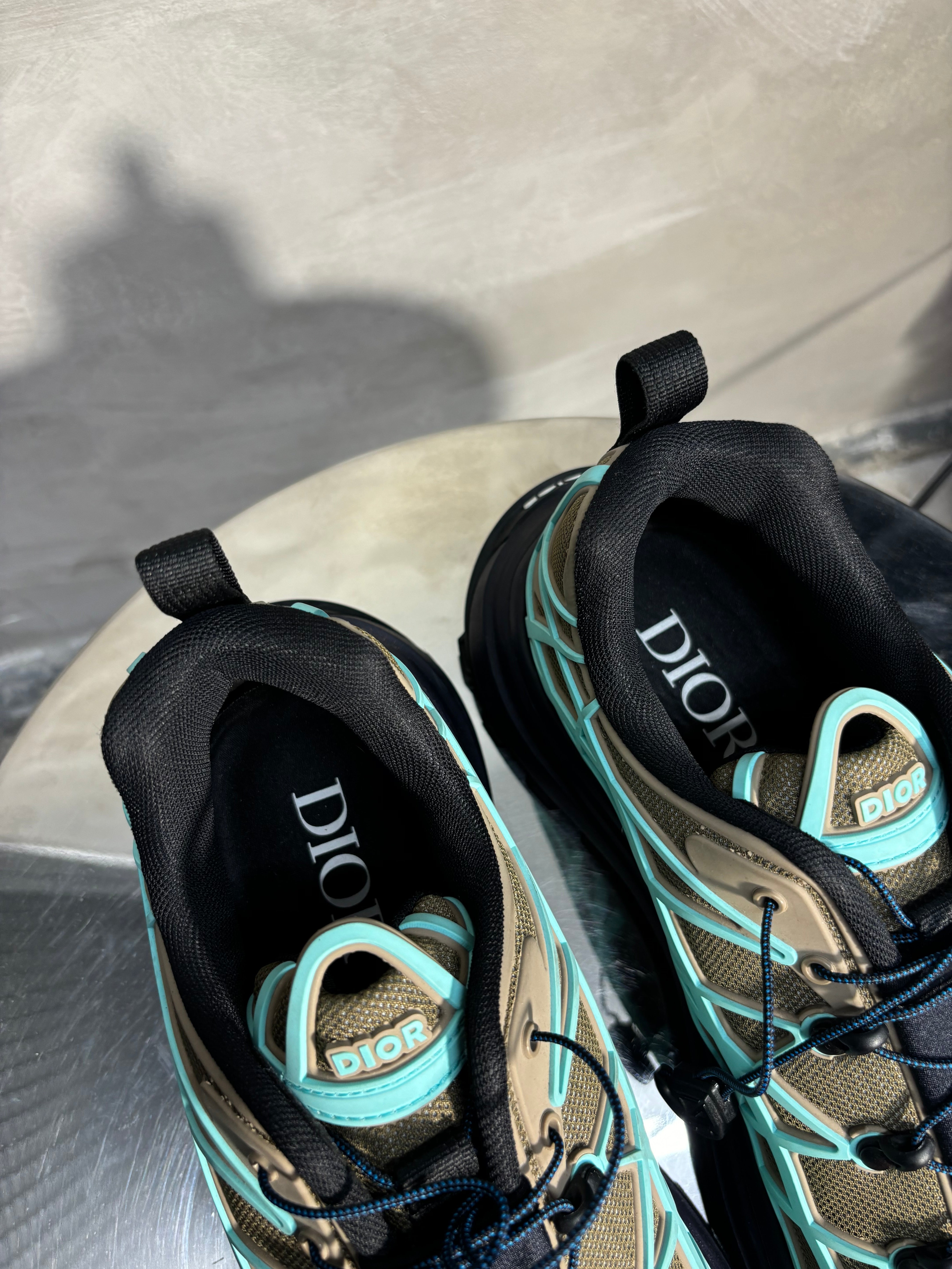 Dior B31 Shoes