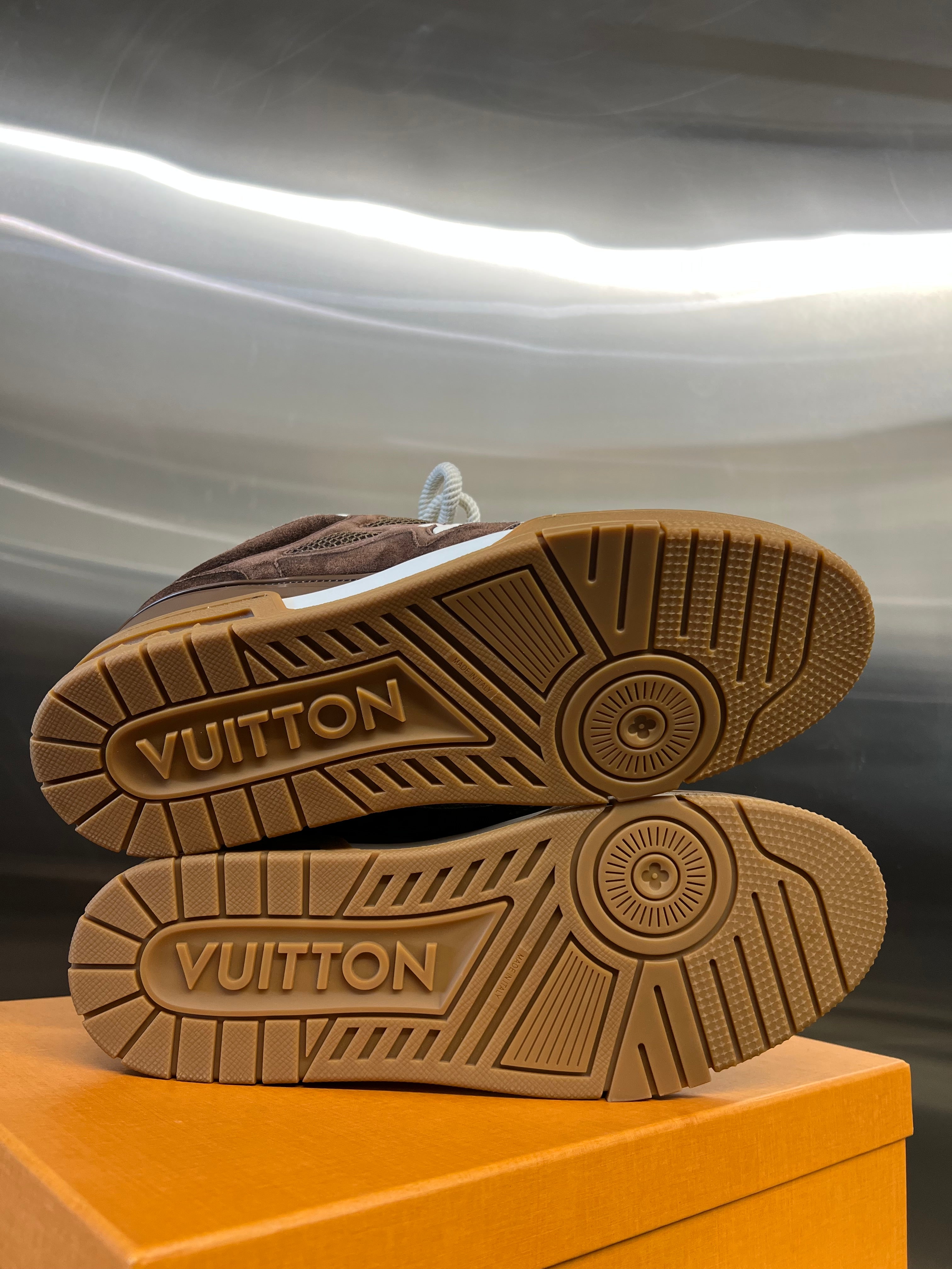 Louis Vuitton Skate Sneaker