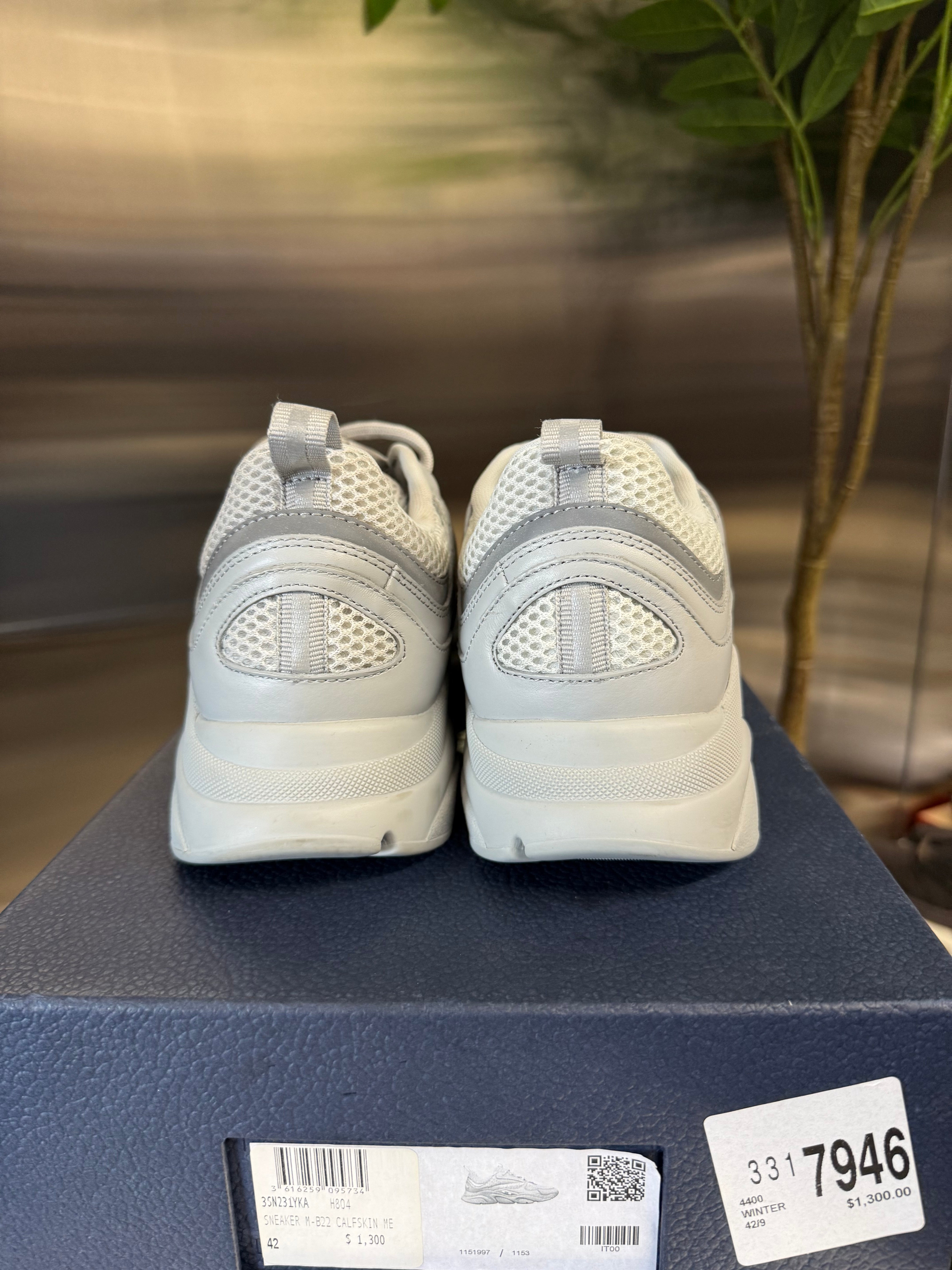 Dior b22 shoes