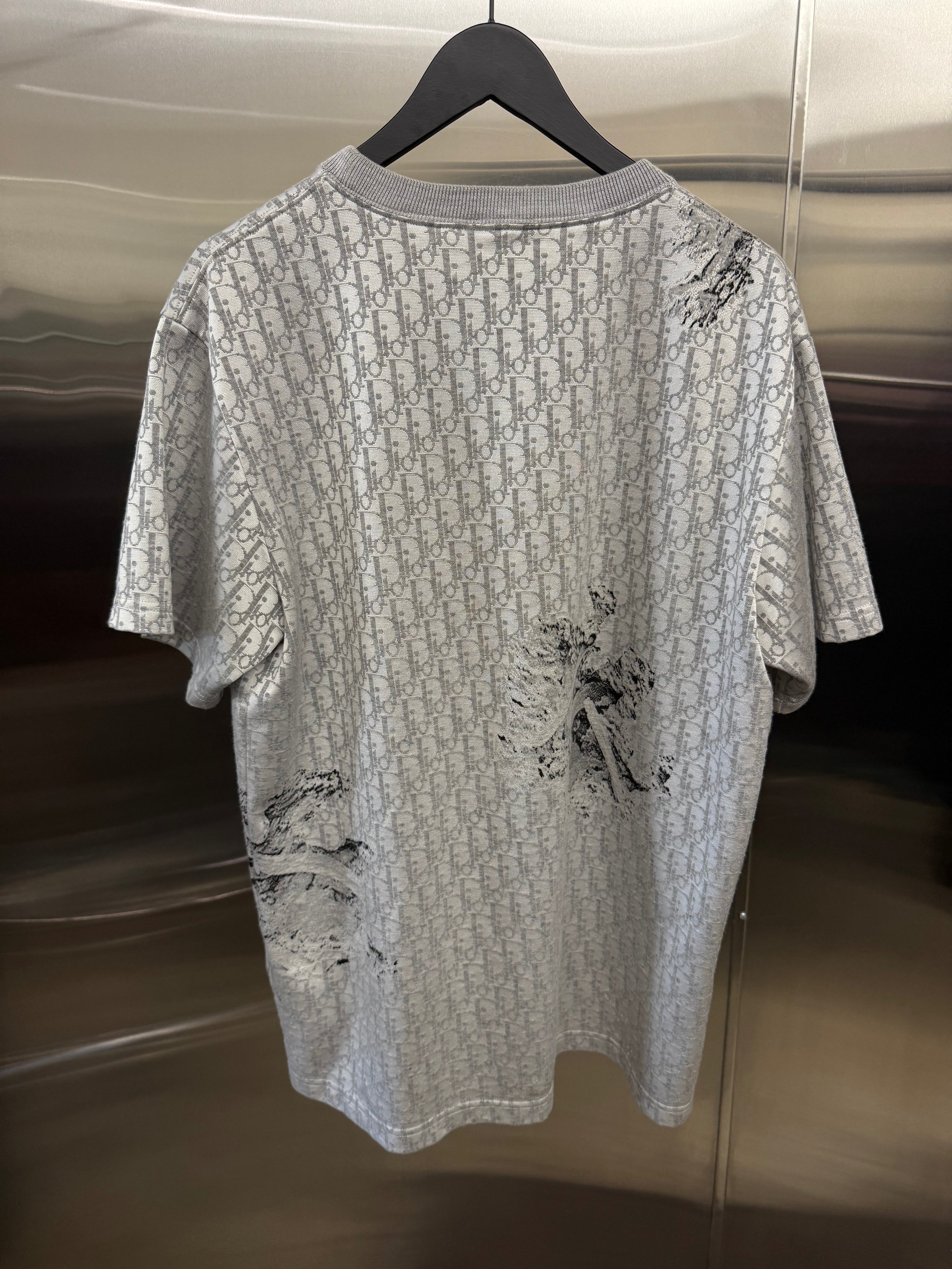 Dior X Daniel Arsham oblique knit tee