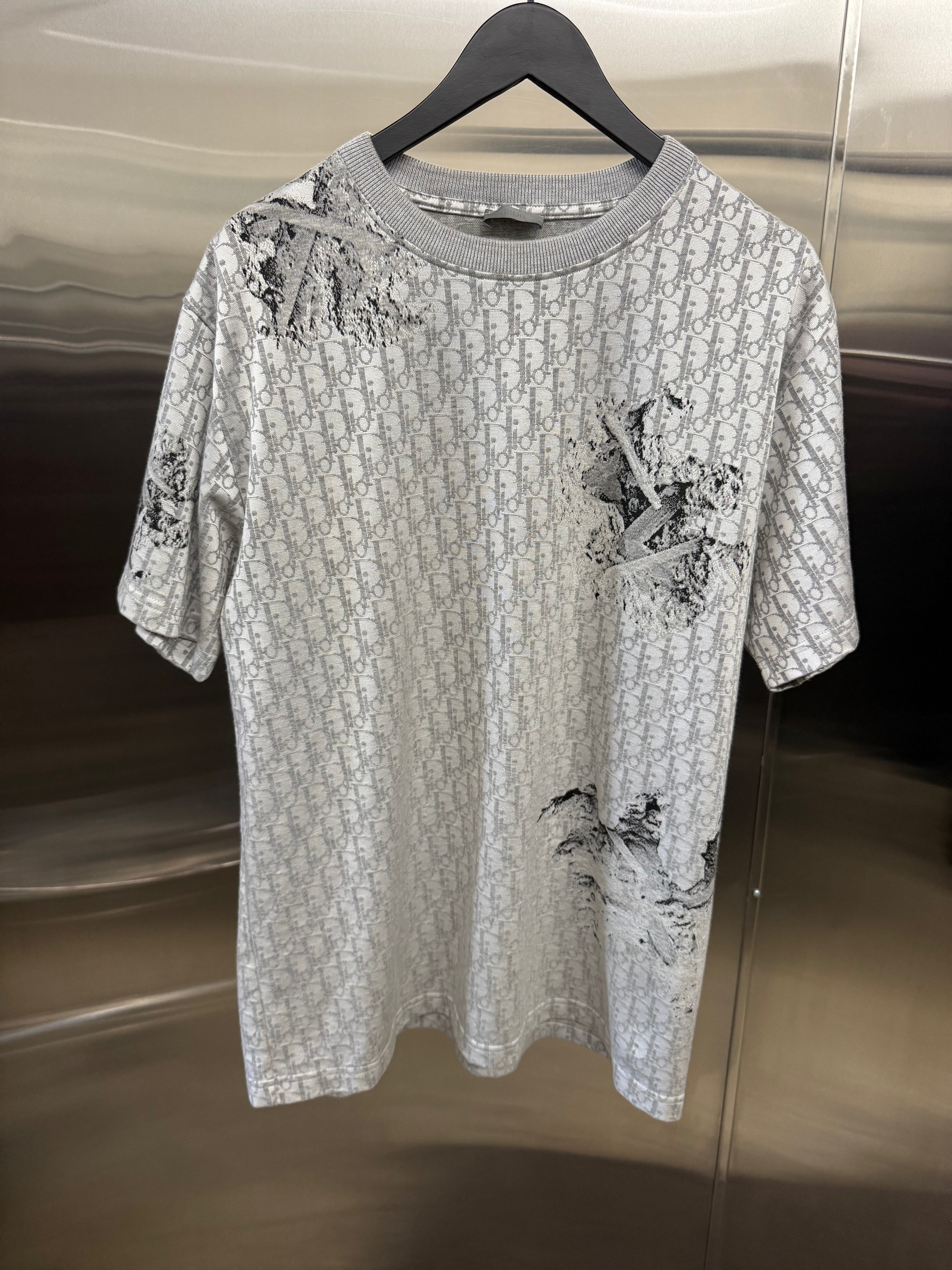 Dior X Daniel Arsham oblique knit tee